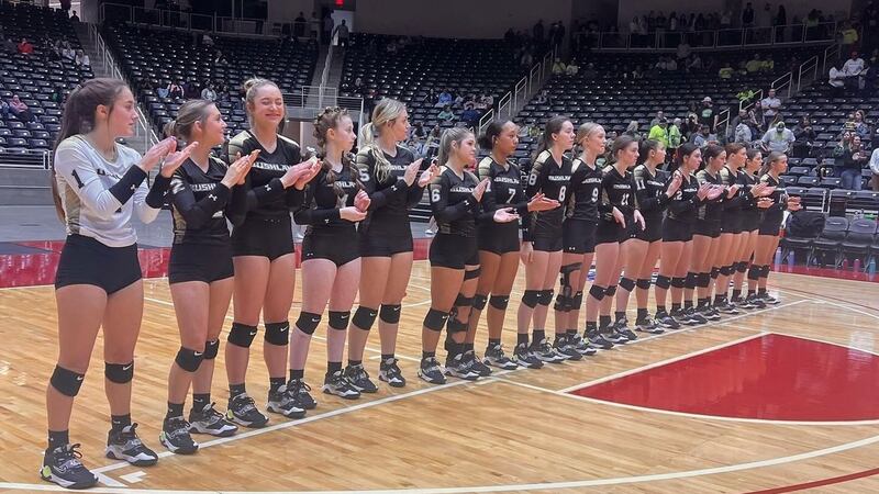 Bushland volleyball seeking third state title in four years.