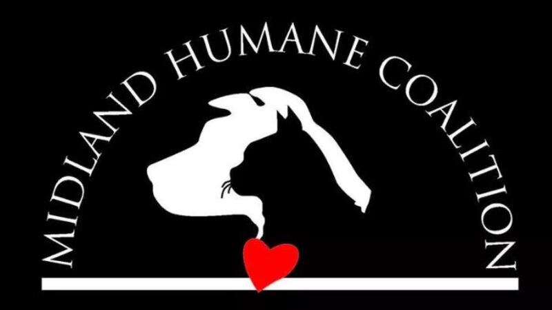 Source: Midland Humane Coalition