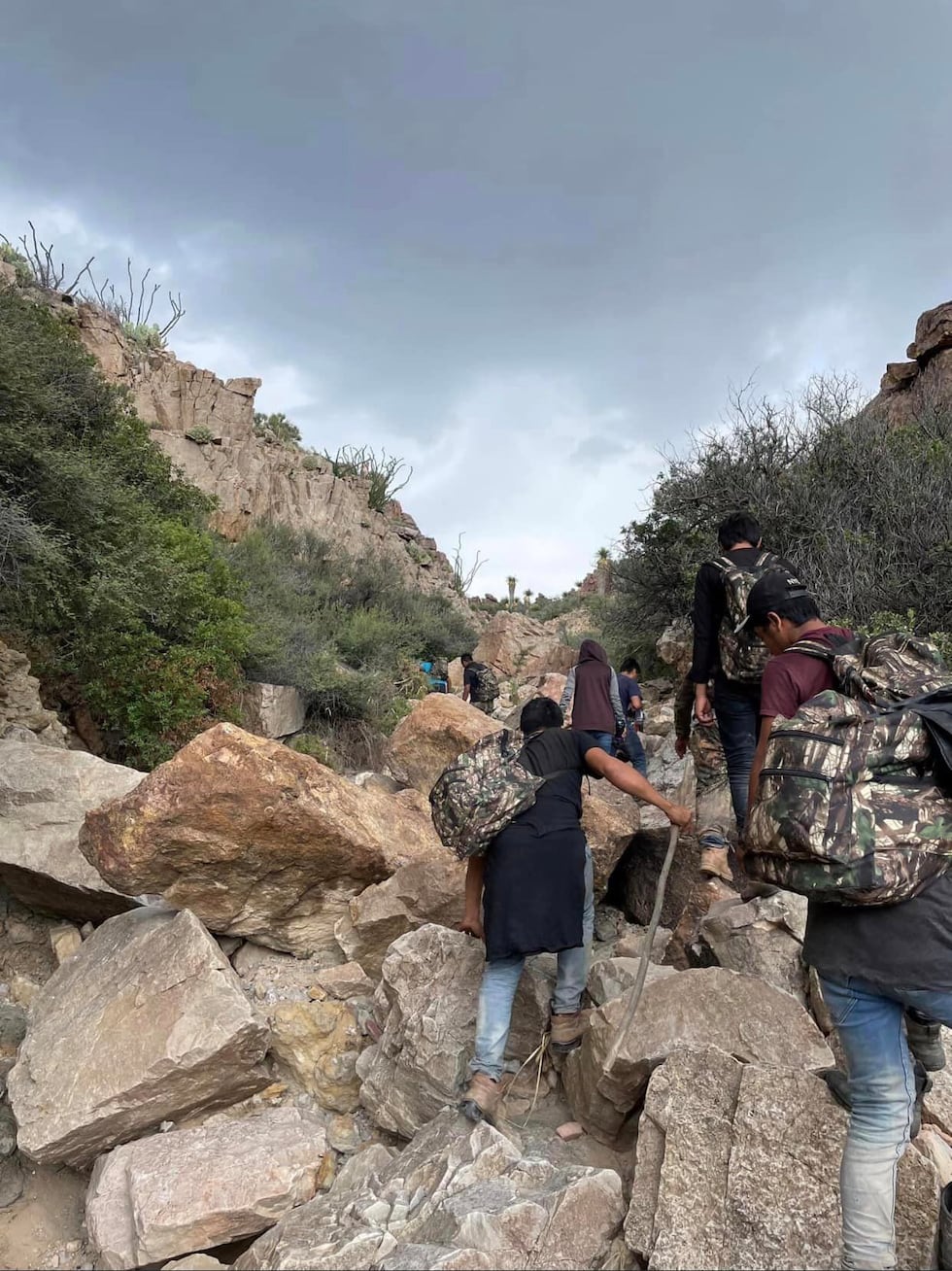 8 illegal immigrants were hiding in the brush and all were turned over to Border Patrol.