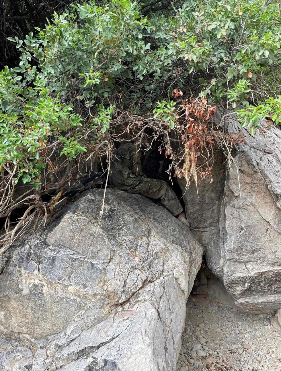 8 illegal immigrants were hiding in the brush and all were turned over to Border Patrol.